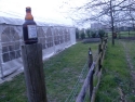 cimg1858