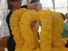 bild-215