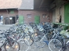 cimg2957_bildgrose-andern